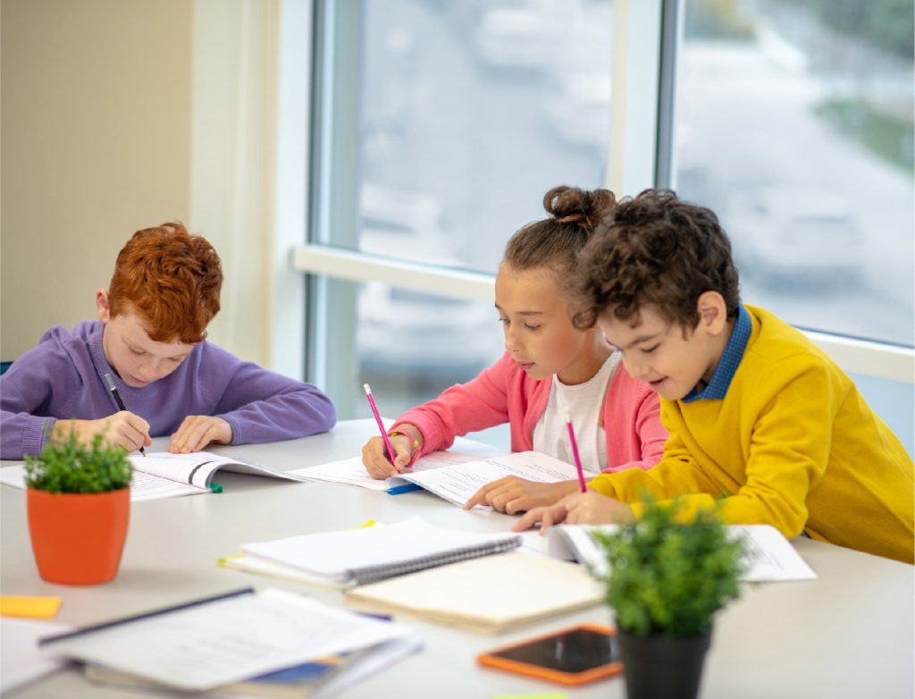 11 Plus Practice Papers