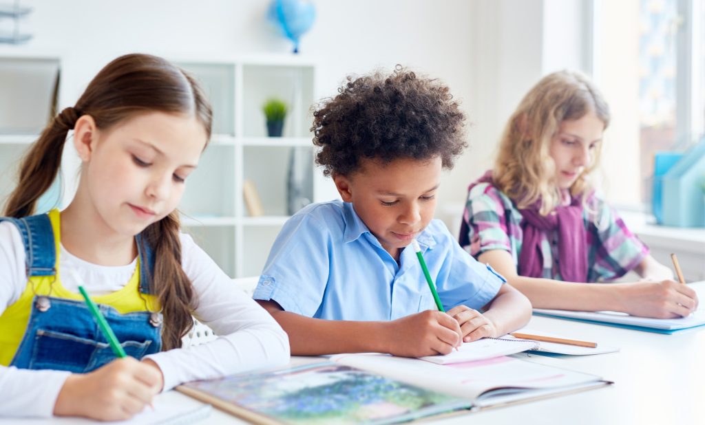 11 Plus Verbal Reasoning Practice