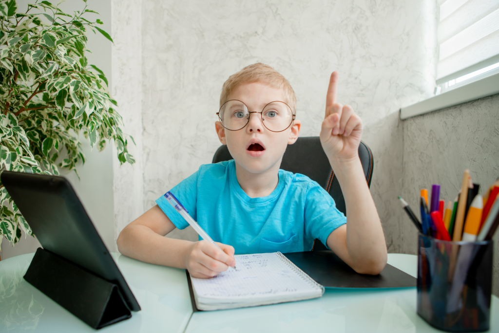 11+ exams for Non Verbal Reasoning