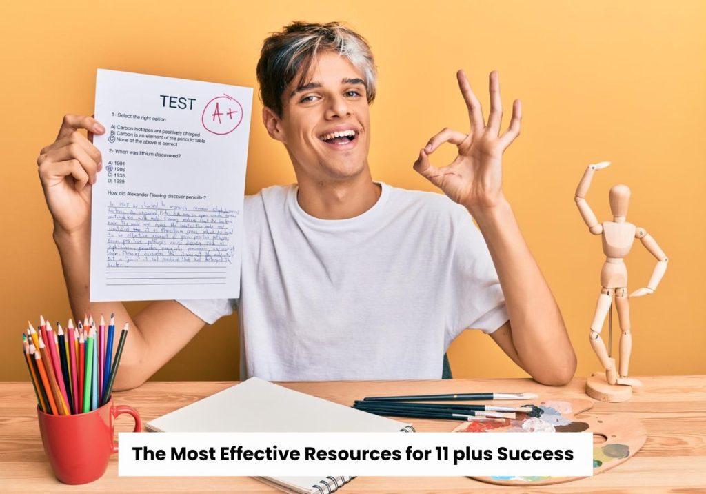 11 plus success